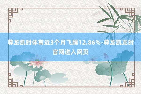 尊龙凯时体育近3个月飞腾12.86%-尊龙凯龙时官网进入网页