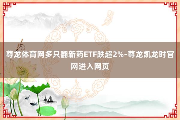 尊龙体育网多只翻新药ETF跌超2%-尊龙凯龙时官网进入网页