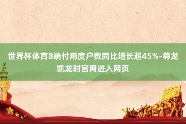 世界杯体育B端付用度户数同比增长超45%-尊龙凯龙时官网进入网页