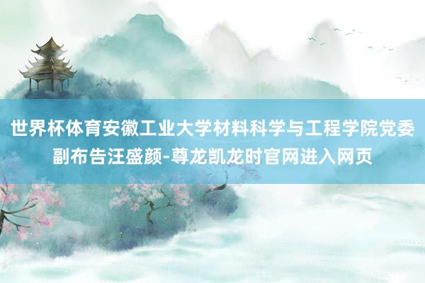 世界杯体育安徽工业大学材料科学与工程学院党委副布告汪盛颜-尊龙凯龙时官网进入网页