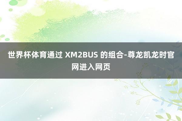 世界杯体育通过 XM2BUS 的组合-尊龙凯龙时官网进入网页