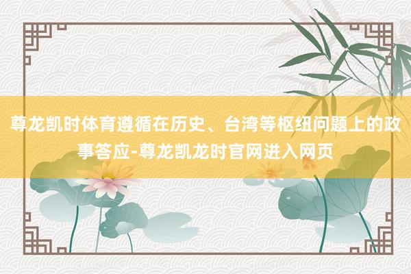 尊龙凯时体育遵循在历史、台湾等枢纽问题上的政事答应-尊龙凯龙时官网进入网页