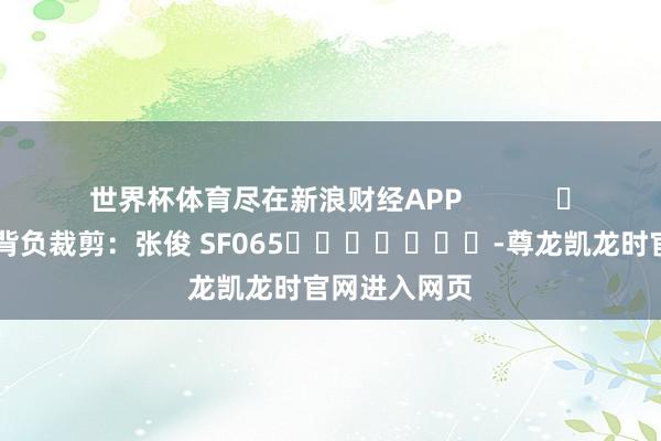 世界杯体育尽在新浪财经APP            						背负裁剪：张俊 SF065							-尊龙凯龙时官网进入网页