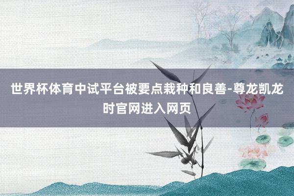世界杯体育中试平台被要点栽种和良善-尊龙凯龙时官网进入网页