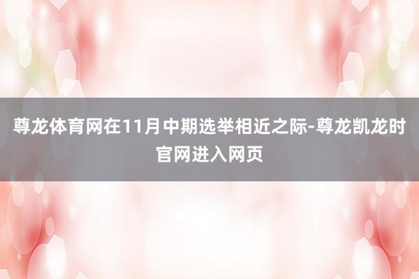 尊龙体育网在11月中期选举相近之际-尊龙凯龙时官网进入网页