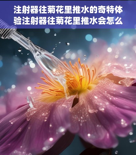 注射器往菊花里推水的奇特体验注射器往菊花里推水会怎么样
