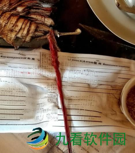 十大看B站直播的理由与推荐，让你畅享精彩内容与互动乐趣