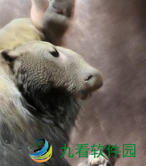 问道金加点策略解析如何选择最佳加点方案提升角色实力